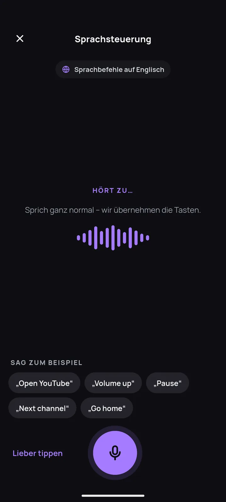 Bildschirm für Sprachbefehle