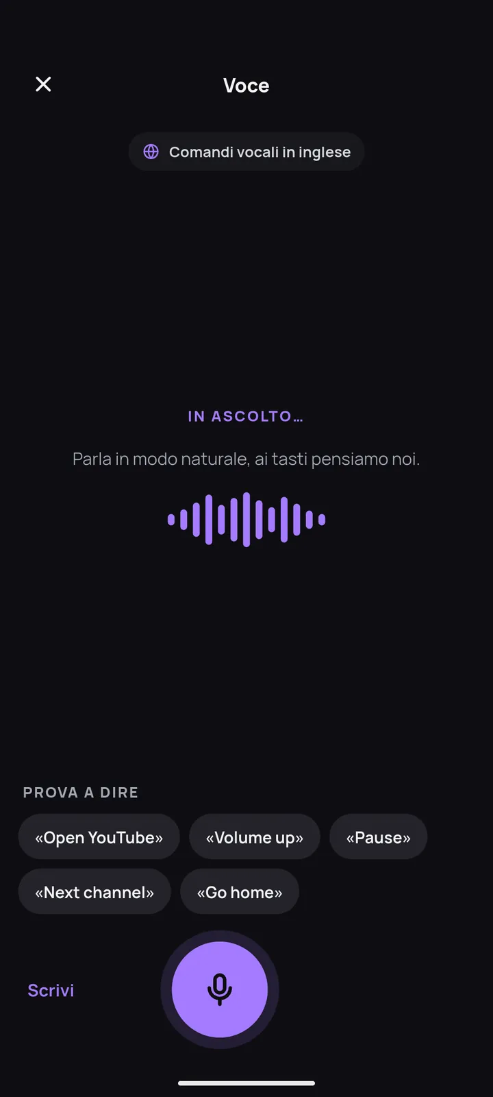Schermata dei comandi vocali